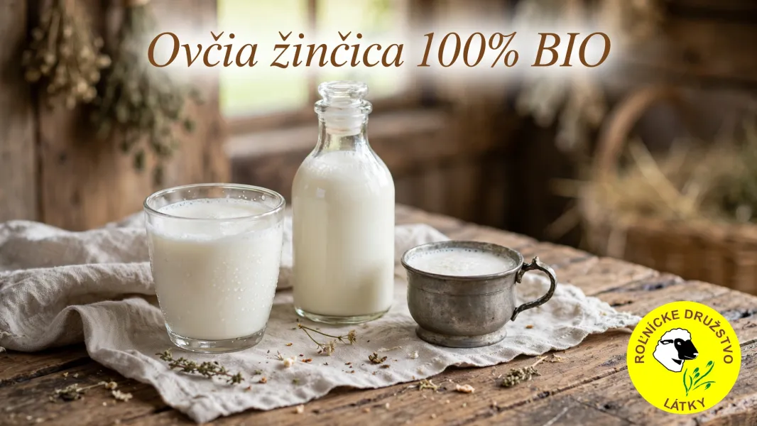 ovcia_zincica_banner